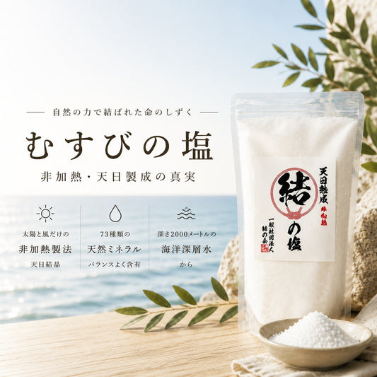 天日非加熱 むすびの塩 1kg 天然塩 天日塩 非加熱 恵安の塩 天然ミネラル 結の塩