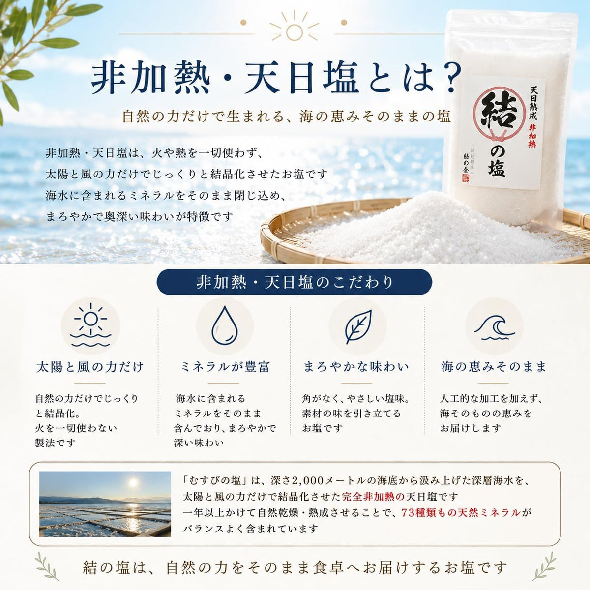 天日非加熱 むすびの塩 1kg 天然塩 天日塩 非加熱 恵安の塩 天然ミネラル 結の塩